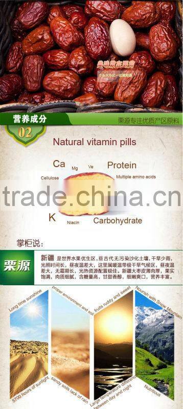 xinjiang chinese dates Jujube