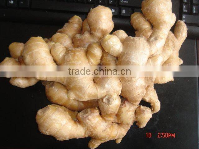 Fresh air dried ginger
