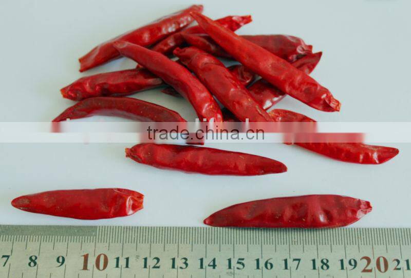 dry red hot chili