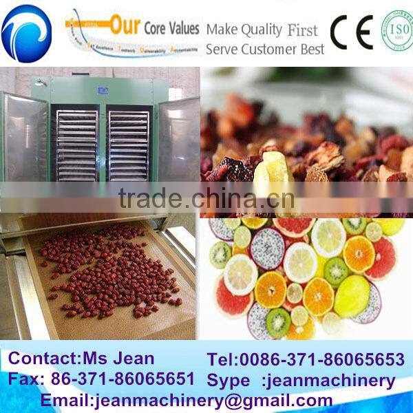 strawberry dryer (0086-13683717037)