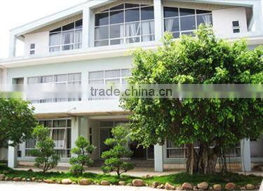 PP non-woven Shoes Bag