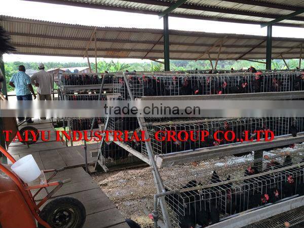 TAIYU chicken water feeding system