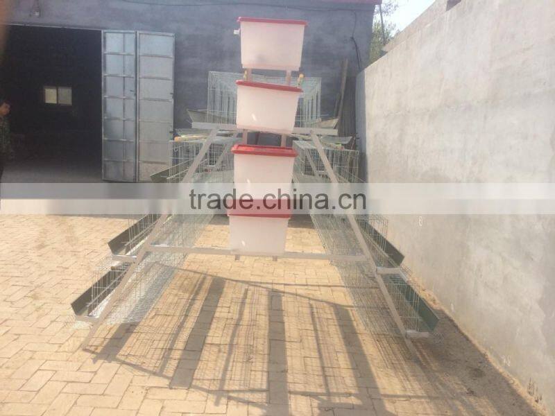 Kenya hot selling best quality battery chicken layer cage