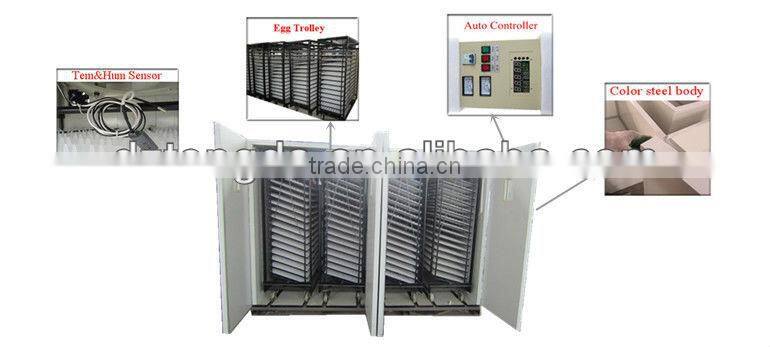 TD-22528 full automatic large incubator hold 20000 eggs