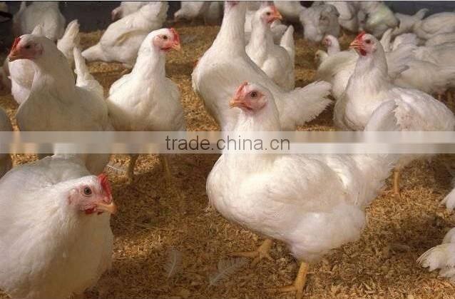 Wood shavings machine/Wood shavings machine for poultry bedding