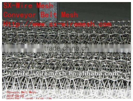 Best Quality Conveyor Belt Mesh-ISO9001:2000 Verified