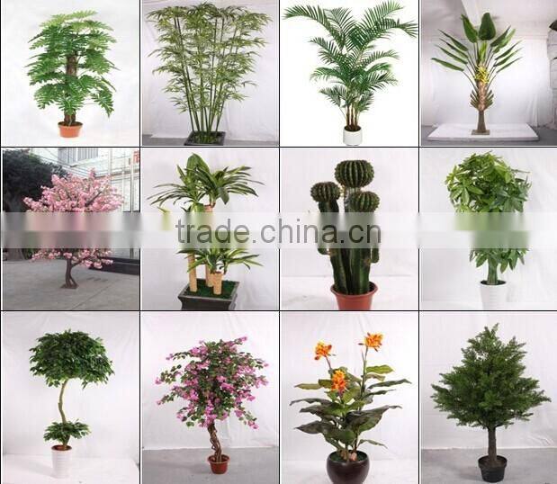 artificial green bamboo plant real trunk in factory price good quality
