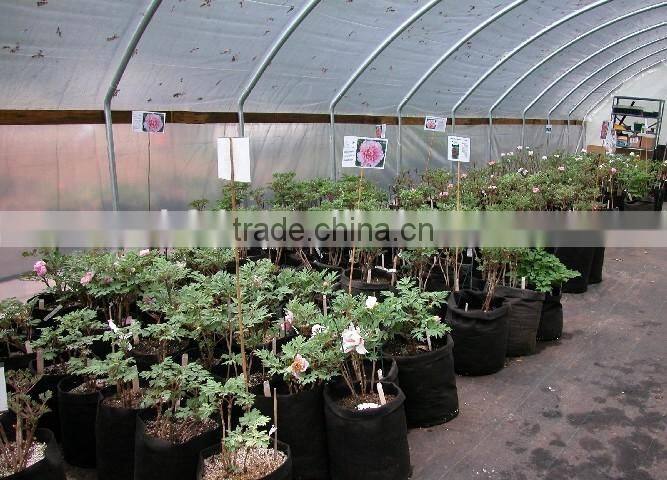 Greenhouse Or Garden Non Woven Felt Plant Grow Bags