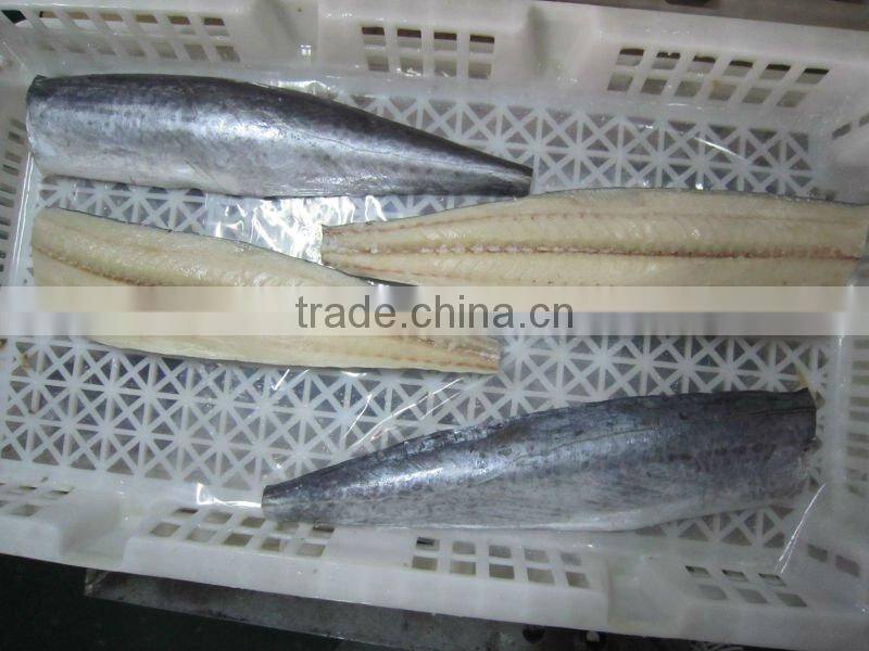 spanish mackerel fillet skin-on