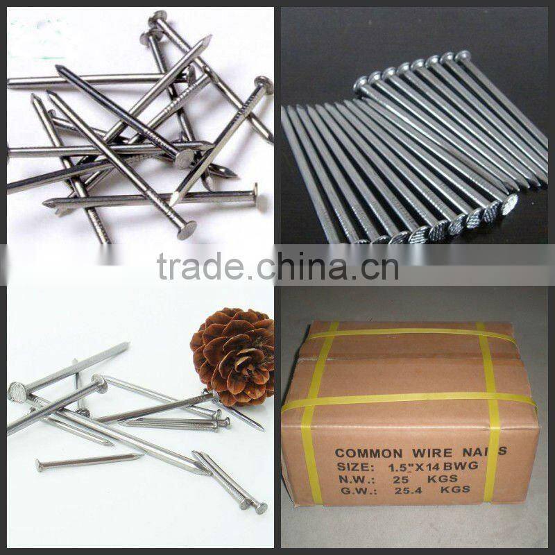 Kuwait market common wire nail