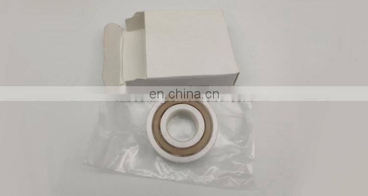 Full Ceramic Ball Bearing H-6406-ZD-PK