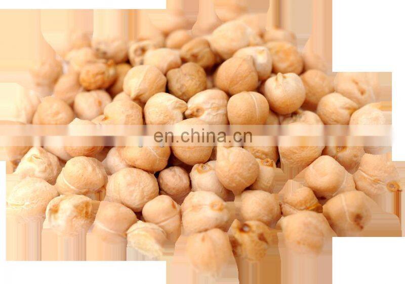 Automatic electric chickpeas roasting machine auto gas LPG chickpea nut rotary drum roaster oven equipment cheap price for sale