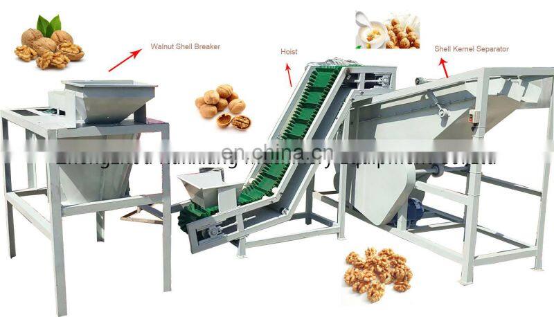 commercial black walnut shelling huller kernel walnut peeling machine price