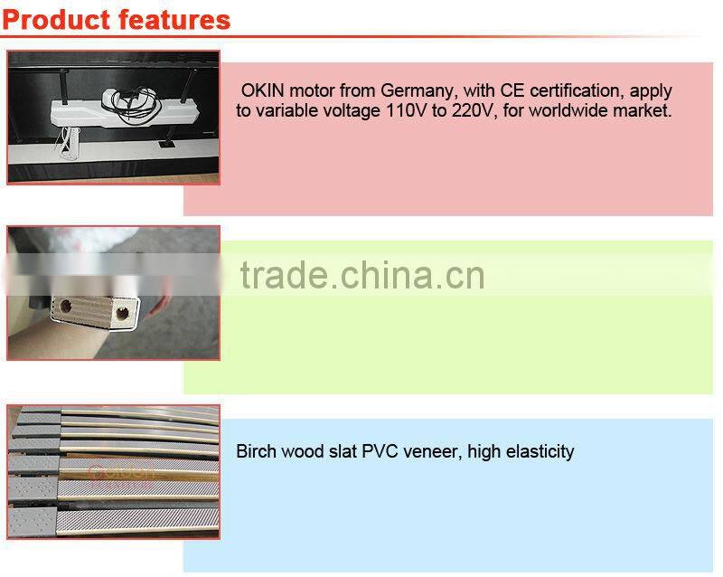 AM-13# HIGH QUALITY Electric vertical bed