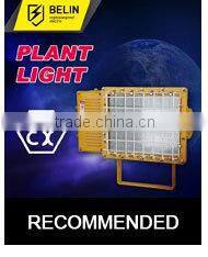 1000W Halogen Floodlight