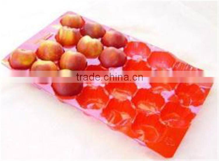 PP/PS/PET plastic tray /packaging tray /fruit tray
