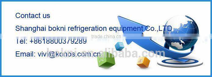 Automotic flake snow ice maker with low price