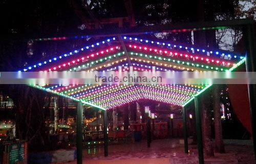 Shenzhen high quality IP65 outdoor park amusement led light