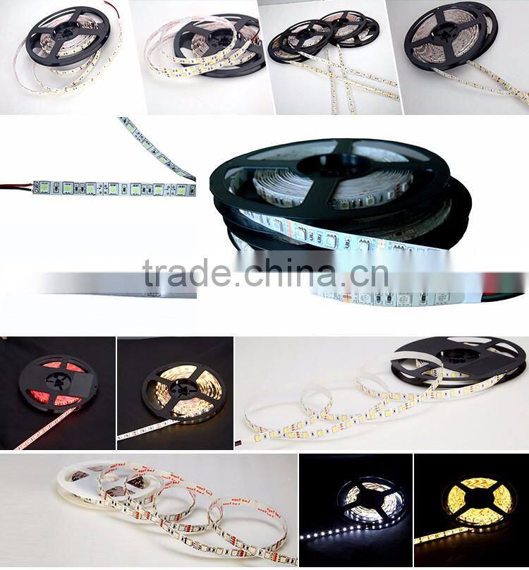 Hot in Brazil 5050 quad row high power led flexible light strip neutral white led strip
