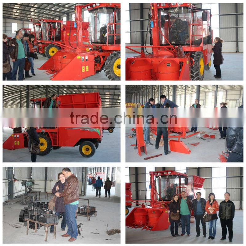 4QZ-1800 Self-propelled Corn silage machinery for sale