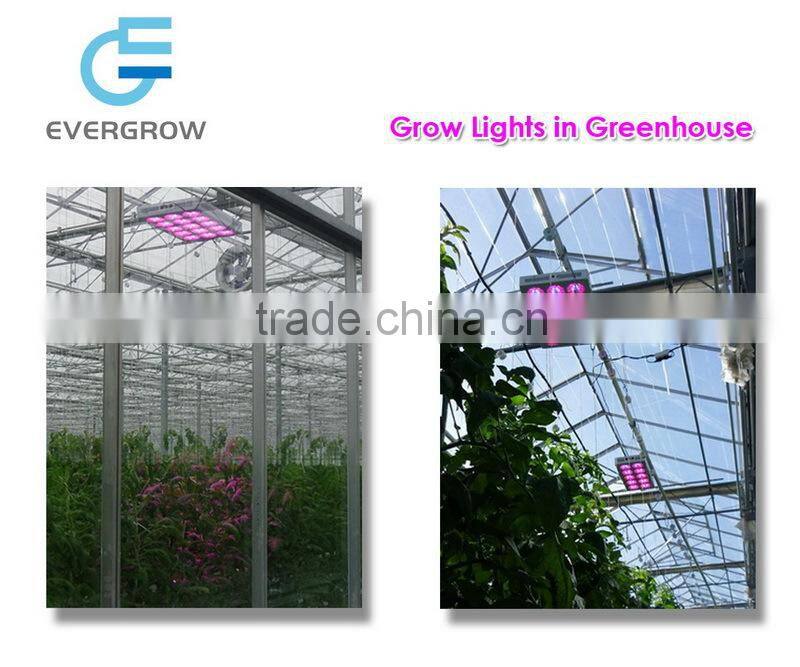 Modular Full Spectrum Hydroponics 3 Watt LED Grow Lights