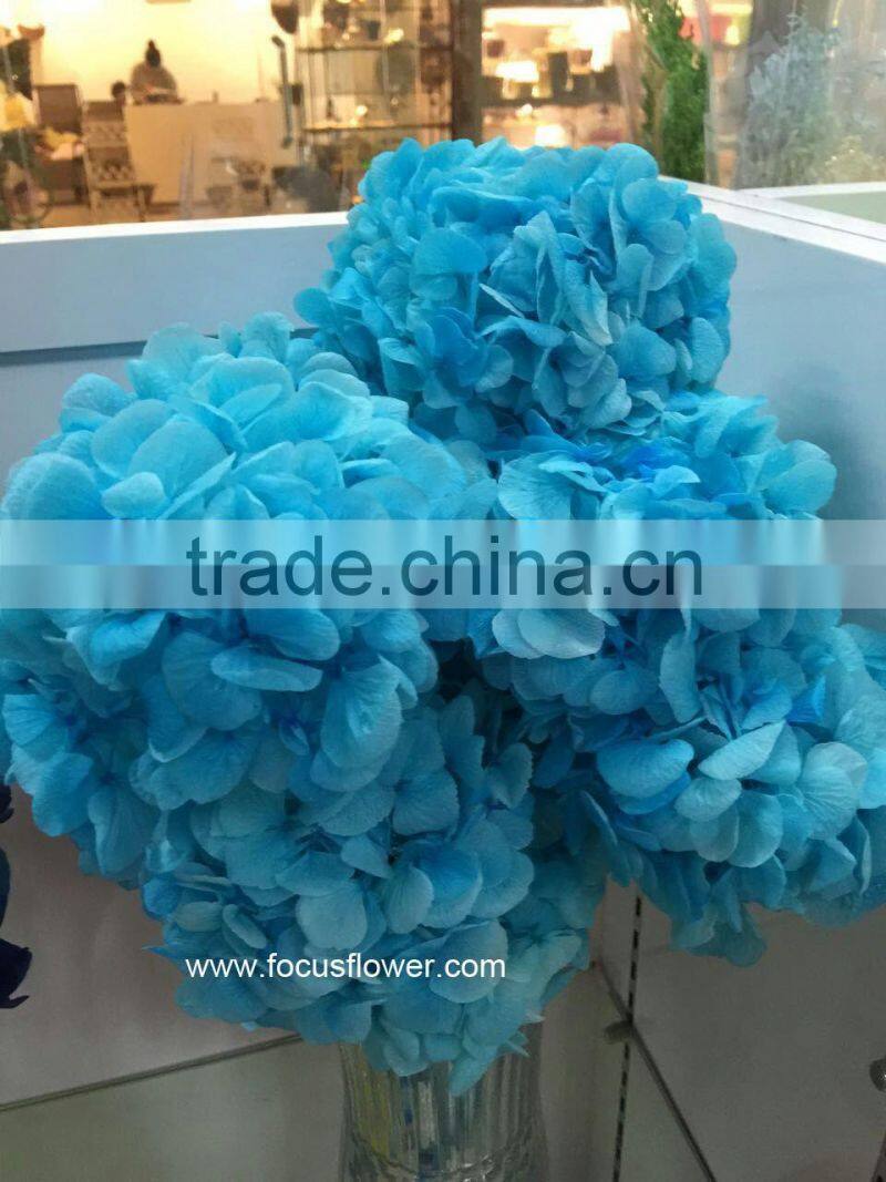 Flower Wedding Wholesale Preserved Flower Pink Hydrangea Macrophylla In Gift Box