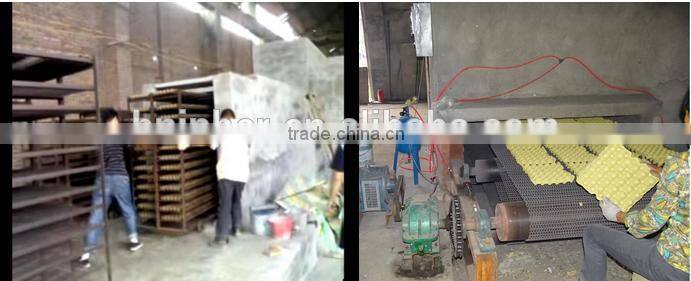 bottle service tray molding machine from paper pulp