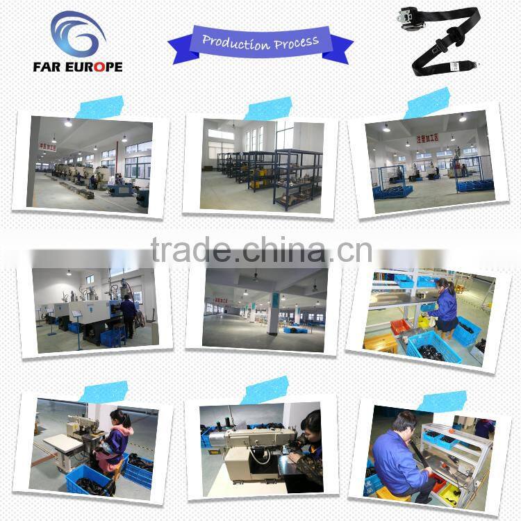 Seat Belt Pillar Loop