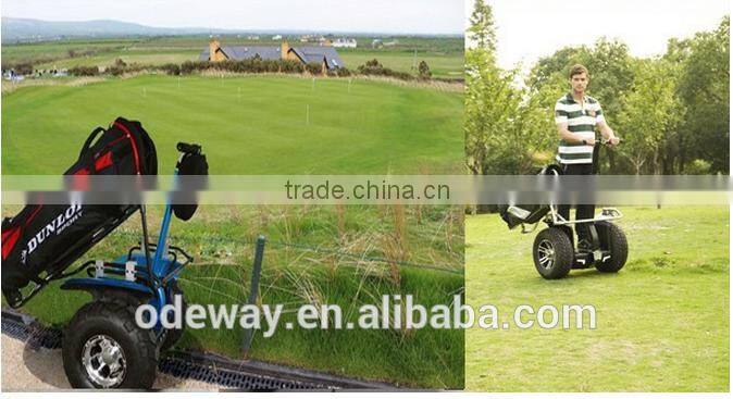 I9 inch Golf Eco self balance friendly design 2 wheel golf scooter low price electric chariot scooter