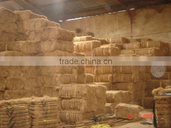 Exporter of Coir coconut fibre