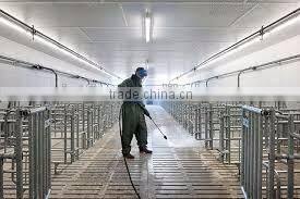Multi-pump high pressure washer, washing system