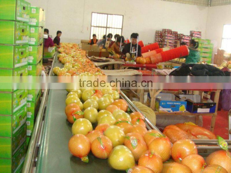 Professional fresh honey pomelo honey russia