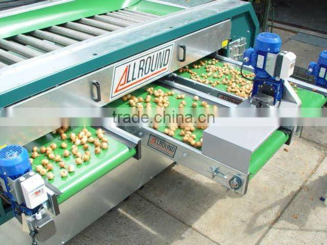 Organic Fresh Chestnuts