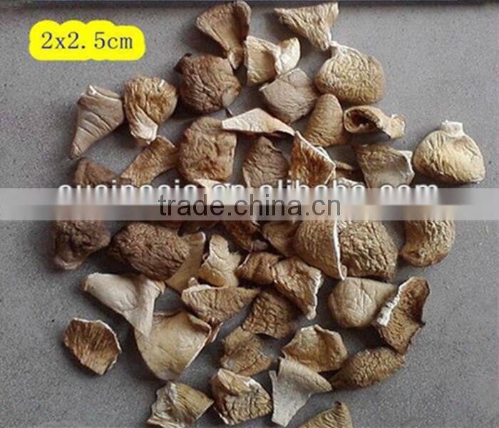 Dried pleurotus ostreatus even oyster mushroom