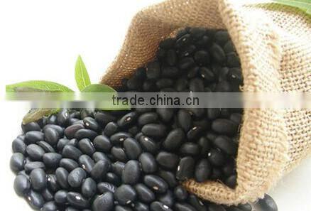 Healthy nature preserved Black beans