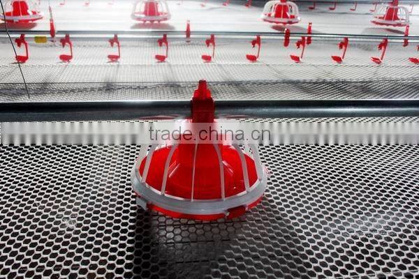 chicken feeding and drinking system