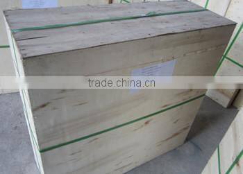 Newest Electric Vacuum Portable Milking Machine for Cow/goat/sheep