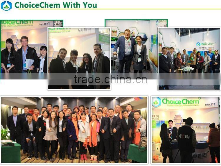 China manufacturer supply L-Tryptophan for best price