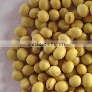 soyabean meal export from china