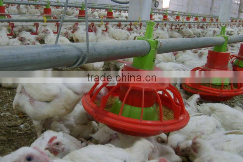 Poultry farm house chicken structure