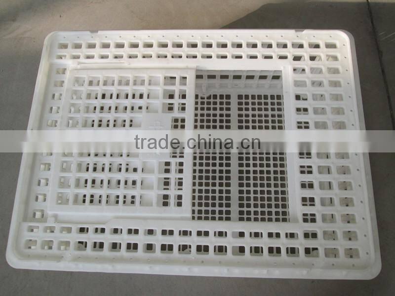 plastic poultry transfer box