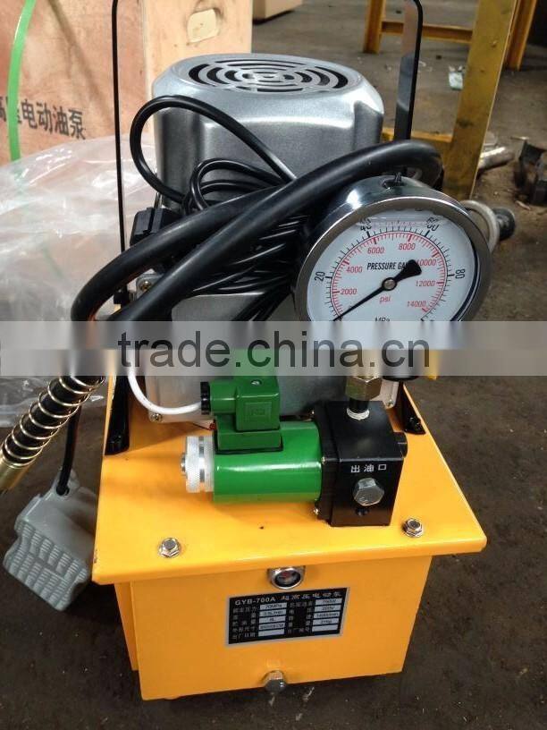 220V Electric Hydraulic Pump 700bar,1000Psi for Power Supply