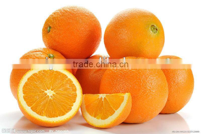 hot sale satinless steel guava peeling machine