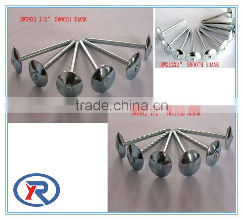 trade assurance umbrella roofing nails with twist shank 2'' 2.5'' 3'' from china