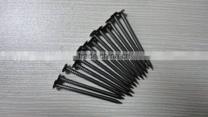 Common iron nail metal nails best price from china manufacturer