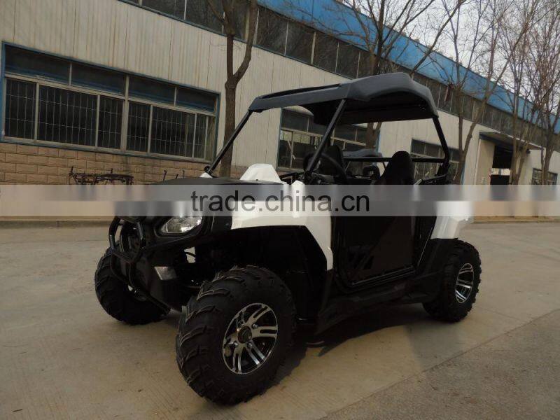 250cc Automatic 2WD transmission go kart/ sport UTV (TKG200-A2)