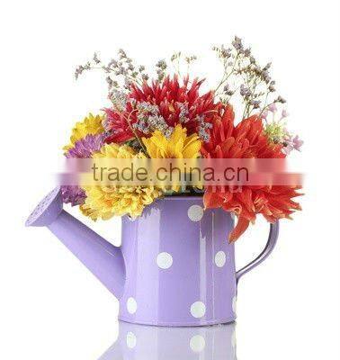 Decorative Small Watering Can