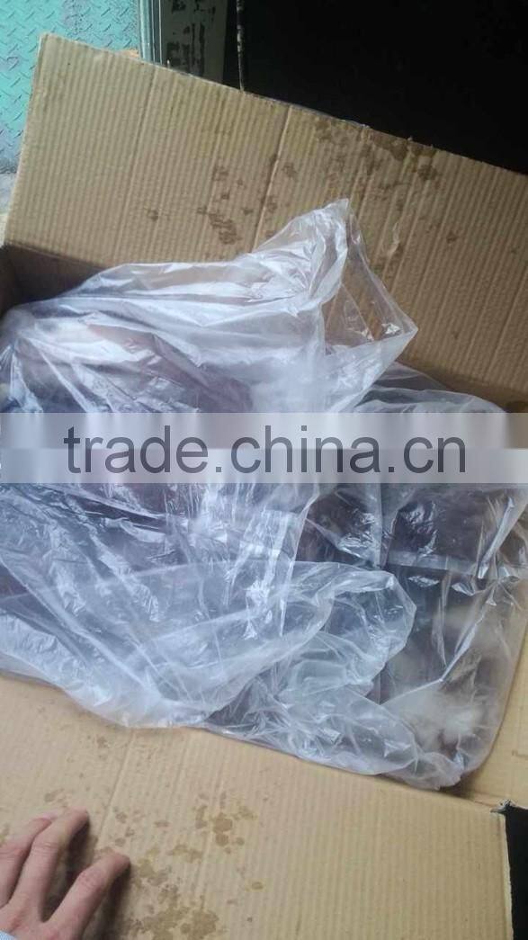 Giant squid tentacle