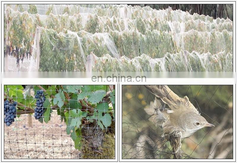 Monofilament PE anti bird net for catching bird