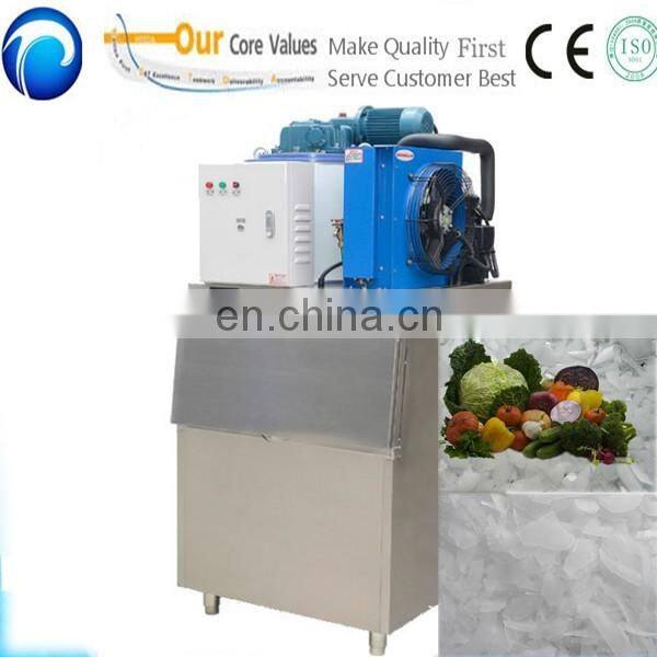 200kg-3 ton per day flake ice plant/home flake ice machine price